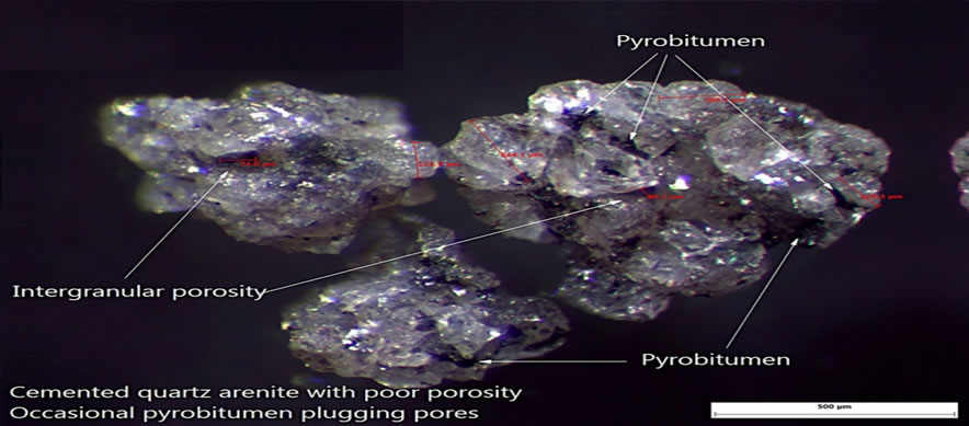 Petrographic Studies